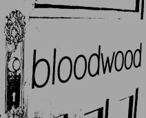 Bloodwood - Accommodation Mount Tamborine 0