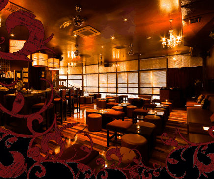 Hippo Lounge Bar - Accommodation Mount Tamborine