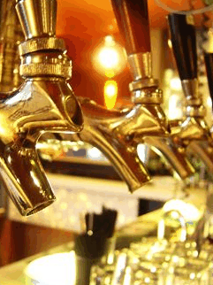 Mary G's - Accommodation Mount Tamborine 0