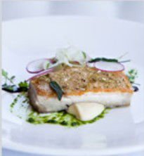 PJ's Irish Sports Bar & Bistro @ The Criterion Hotel - Accommodation Mount Tamborine 0