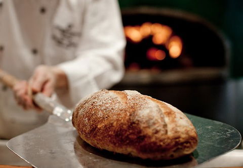 Citrique - Accommodation Mount Tamborine 3