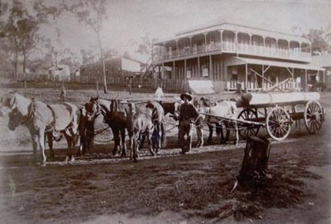 Grand Hotel Many Peaks - Accommodation Mount Tamborine 3