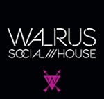 Walrus Social House - Accommodation Mount Tamborine