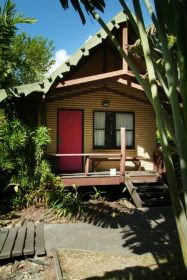 Magnum's Backpackers Bar - Accommodation Mount Tamborine 0