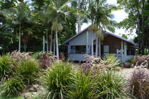 Wongaling Beach QLD Accommodation Mount Tamborine