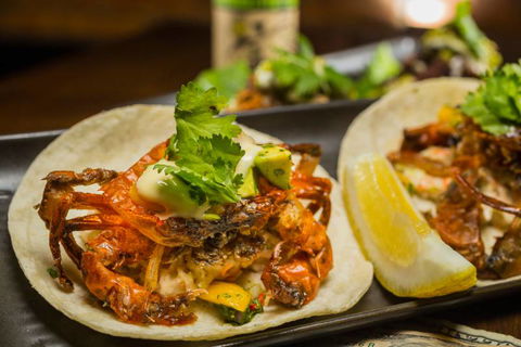 TRIBECA NYC - Accommodation Mount Tamborine 2