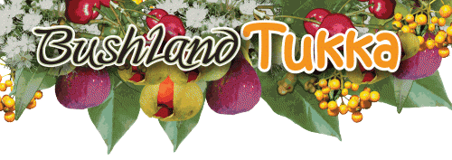 Bushland Tukka Cafe  Catering - Accommodation Mount Tamborine