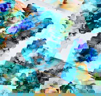 Alcohol Ink Art Class - Accommodation Mount Tamborine