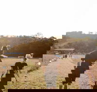 Arcadia - Accommodation Mount Tamborine