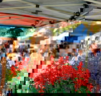 Ballina Missingham Farmers Market - Accommodation Mount Tamborine