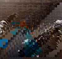 Baroque Horse Festival - Accommodation Mount Tamborine