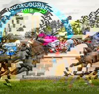 Bathurst Cup - Accommodation Mount Tamborine