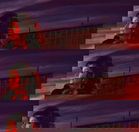 Carmen - Accommodation Mount Tamborine