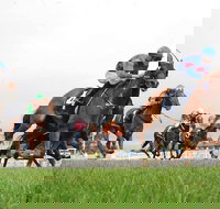 Christmas Cup Race Day - Accommodation Mount Tamborine