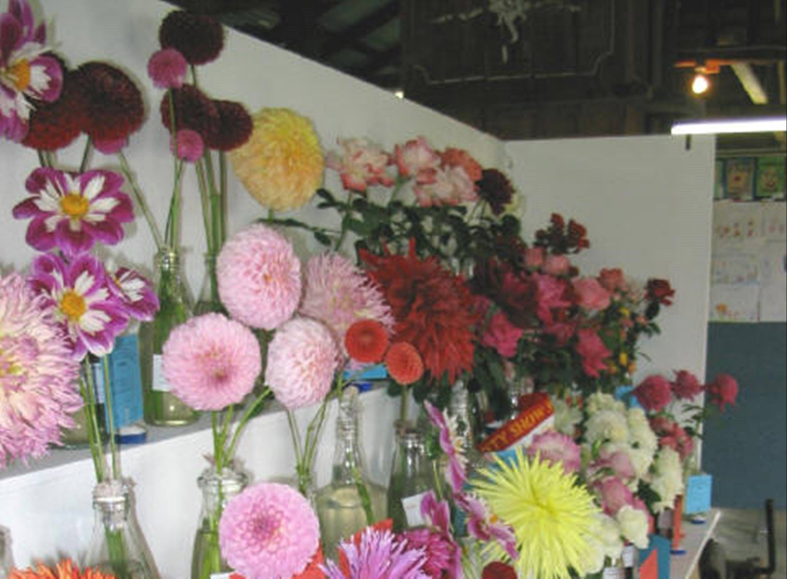 Byadbo Wilderness NSW Accommodation Mount Tamborine