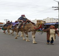 Dowling Street Christmas Party - Accommodation Mount Tamborine