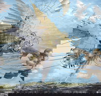 Dreams of Air and Flight - Accommodation Mount Tamborine