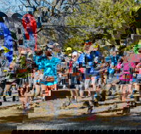 Duval Dam Buster Trail Run - Accommodation Mount Tamborine