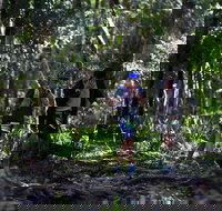 Elephant Trail Race - Accommodation Mount Tamborine