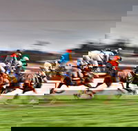 Grafton July Racing Carnival - Accommodation Mount Tamborine