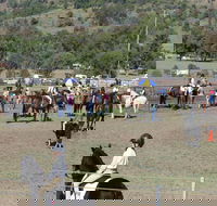 Gresford Agricultural Show - Accommodation Mount Tamborine
