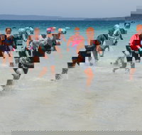 IGA Callala Triathlon Festival - Accommodation Mount Tamborine