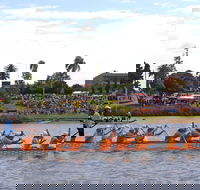 Jacaranda Dragon Boat Races - Accommodation Mount Tamborine