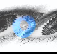 Joe Orton's What the Butler Saw - Accommodation Mount Tamborine