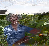 Kingsdale Wines - Cellar Door Wine Tastings - Accommodation Mount Tamborine