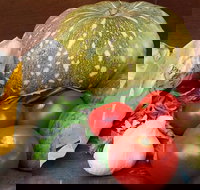 Lismore Organic Market - Accommodation Mount Tamborine