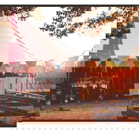 Mullum Circus Festival - Accommodation Mount Tamborine