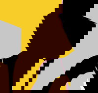 Naked Classics Fantastic Symphonies - Accommodation Mount Tamborine