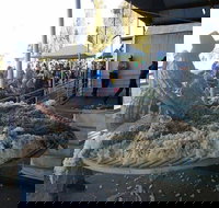 Narrabri Show - Accommodation Mount Tamborine