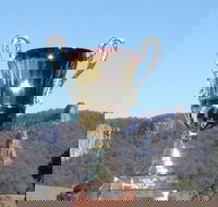 Nimbin Poetry World Cup - Accommodation Mount Tamborine