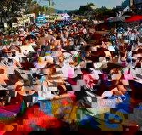 Nimbin Roots Festival - Accommodation Mount Tamborine