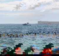 Nowra Toyota triHusky Huskisson Triathlon Festival Little Husky - Accommodation Mount Tamborine