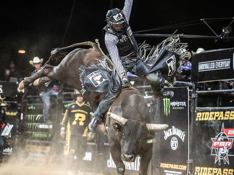 PBR Hawkesbury Stampede - Accommodation Mount Tamborine 0