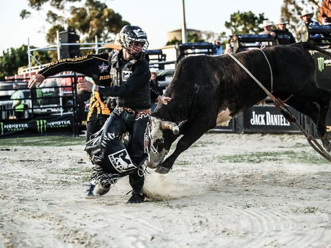 PBR Hawkesbury Stampede - Accommodation Mount Tamborine 2