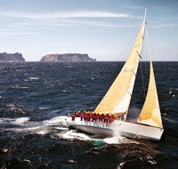 Rolex Sydney Hobart Yacht Race - Accommodation Mount Tamborine