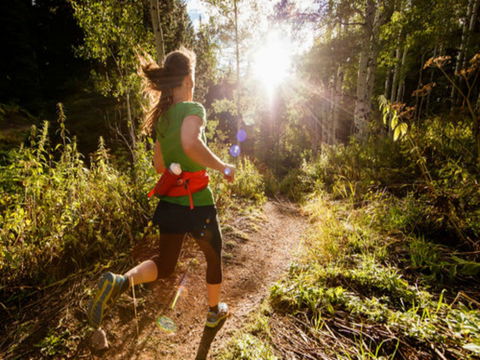 Run Dungog - Accommodation Mount Tamborine 0