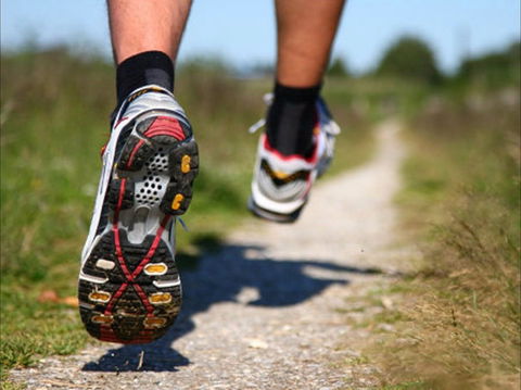 Run Dungog - Accommodation Mount Tamborine 1