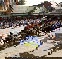 Scone Horse Festival - Accommodation Mount Tamborine