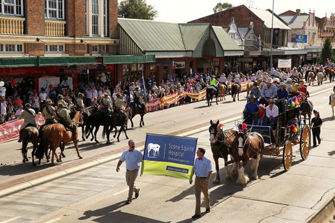 Scone Horse Festival - Accommodation Mount Tamborine 0