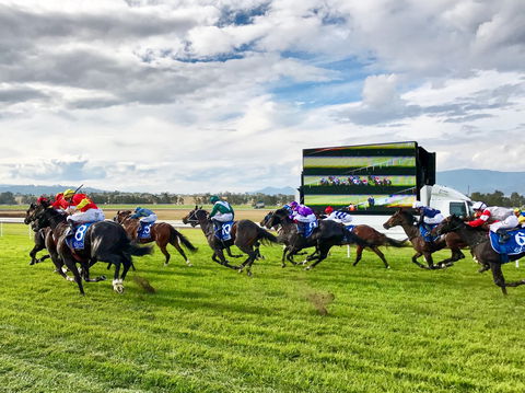 Scone Horse Festival - Accommodation Mount Tamborine 2