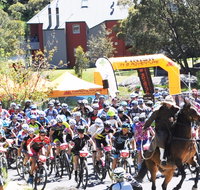 Snowies MTB Festival - Accommodation Mount Tamborine
