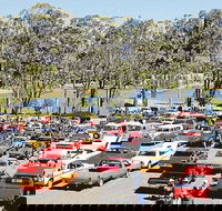 Spring Cruiz In - Accommodation Mount Tamborine