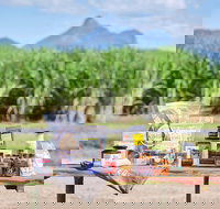 Taste Tweed - Accommodation Mount Tamborine