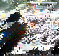 The Entrance Winter Blues and Jazz Festival - Accommodation Mount Tamborine