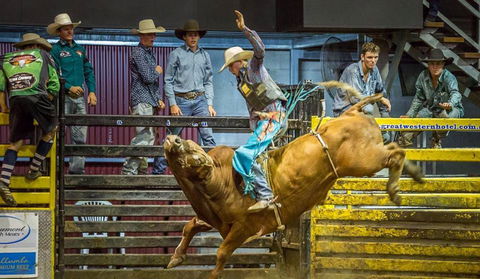 Top Gun And Young Gun Series Round 8 - Accommodation Mount Tamborine 0