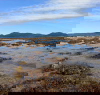 Walk to the Reef - Accommodation Mount Tamborine